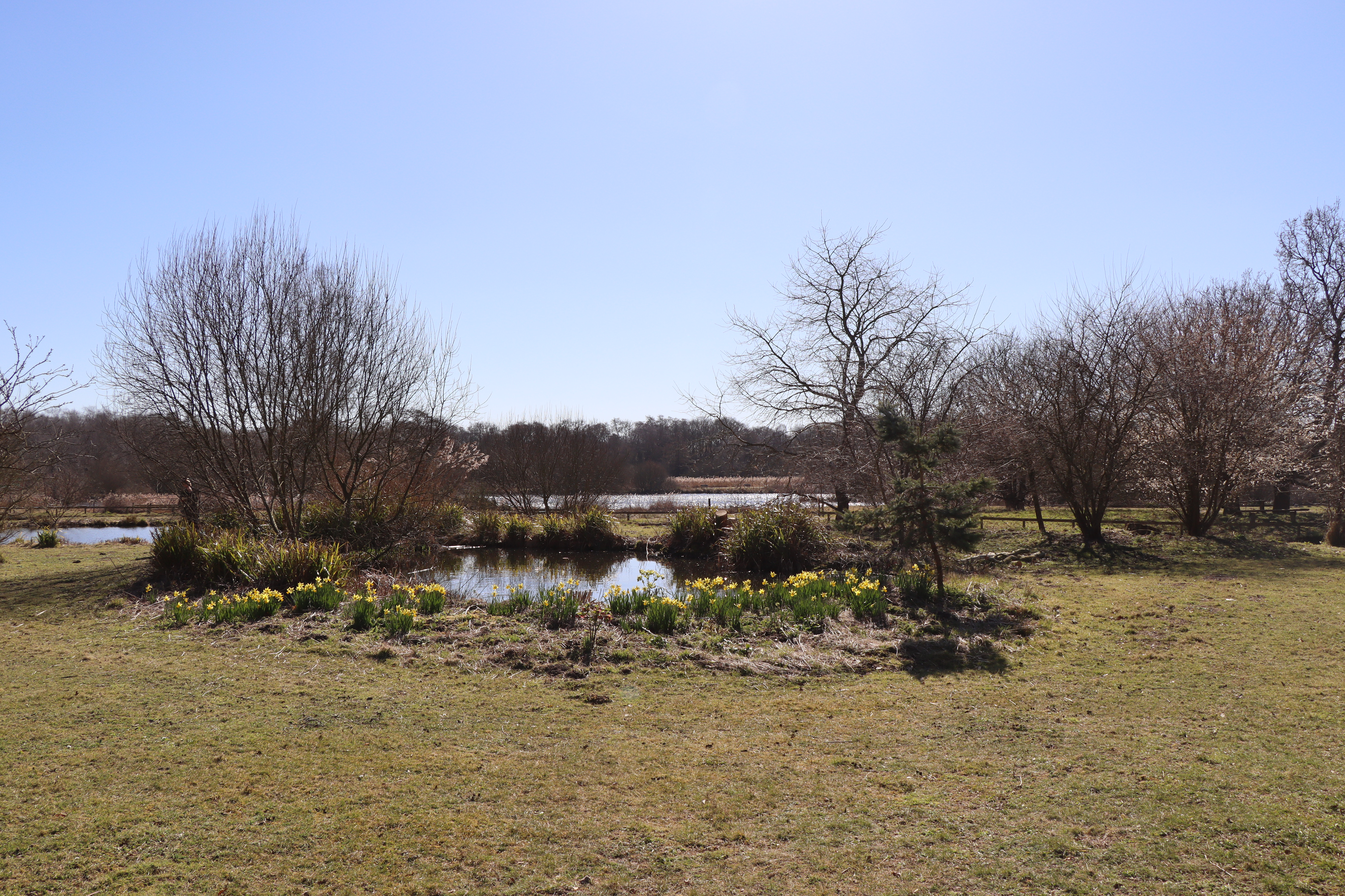 The biodiversity summit took place at Pensthorpe Nature Reserve, near Fakenham